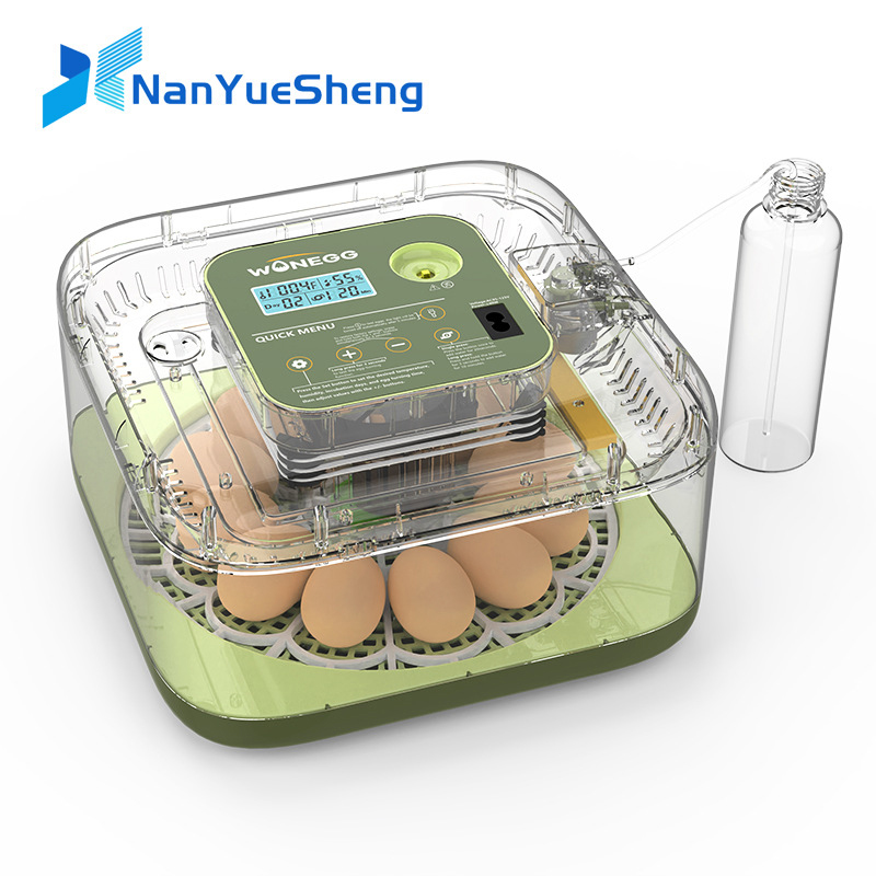 New 12 Chick egg Hatchery mach - Quail Egg Incubator 리뷰 및 가격