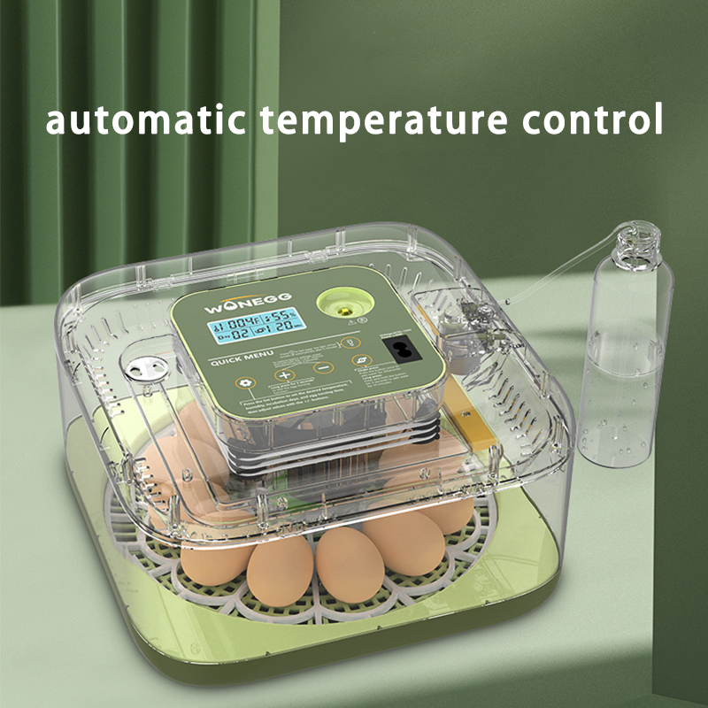 New 12 Chick egg Hatchery mach - Quail Egg Incubator 리뷰 및 가격