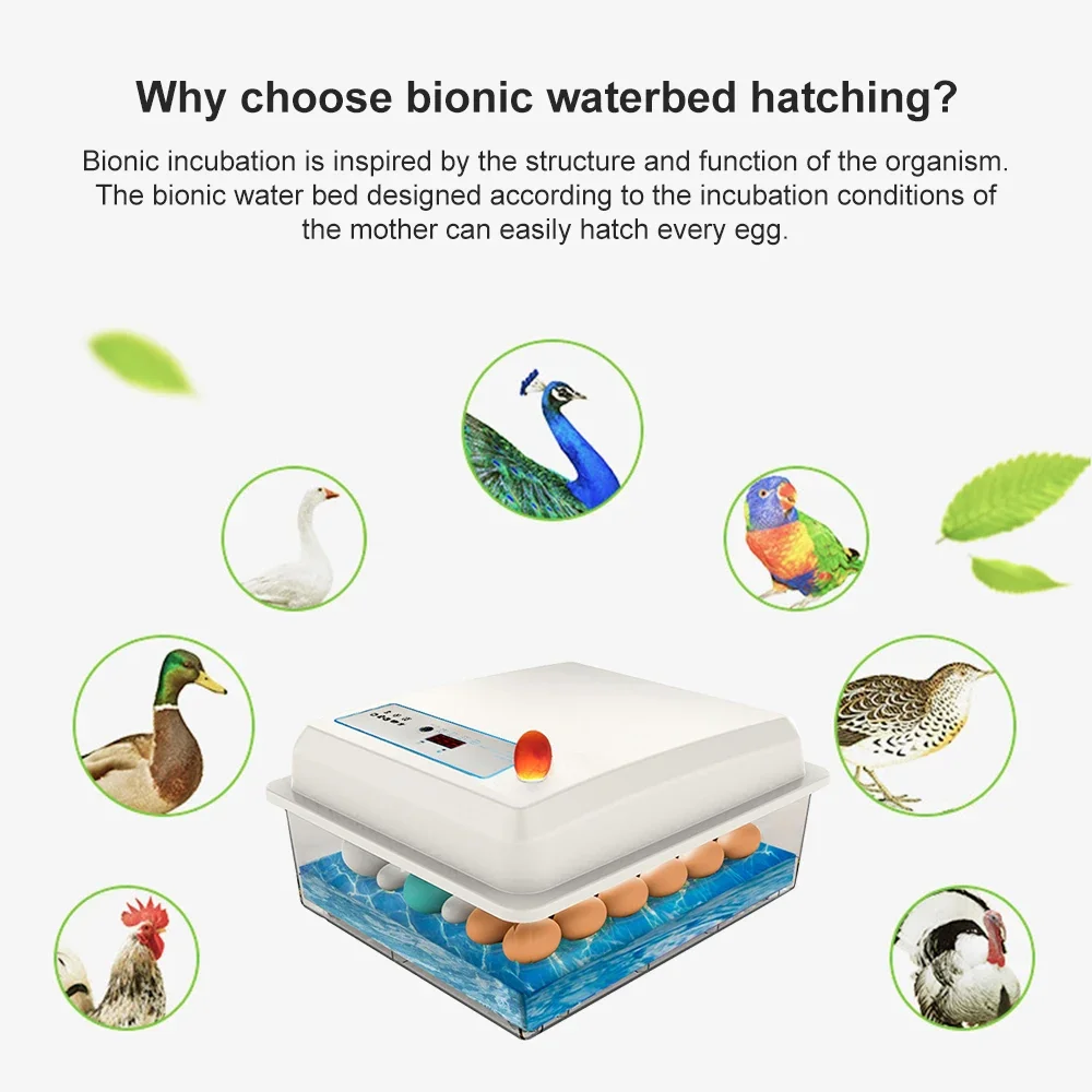 20 Eggs Incubator Set Fully Au - Quail Egg Incubator 리뷰 및 가격