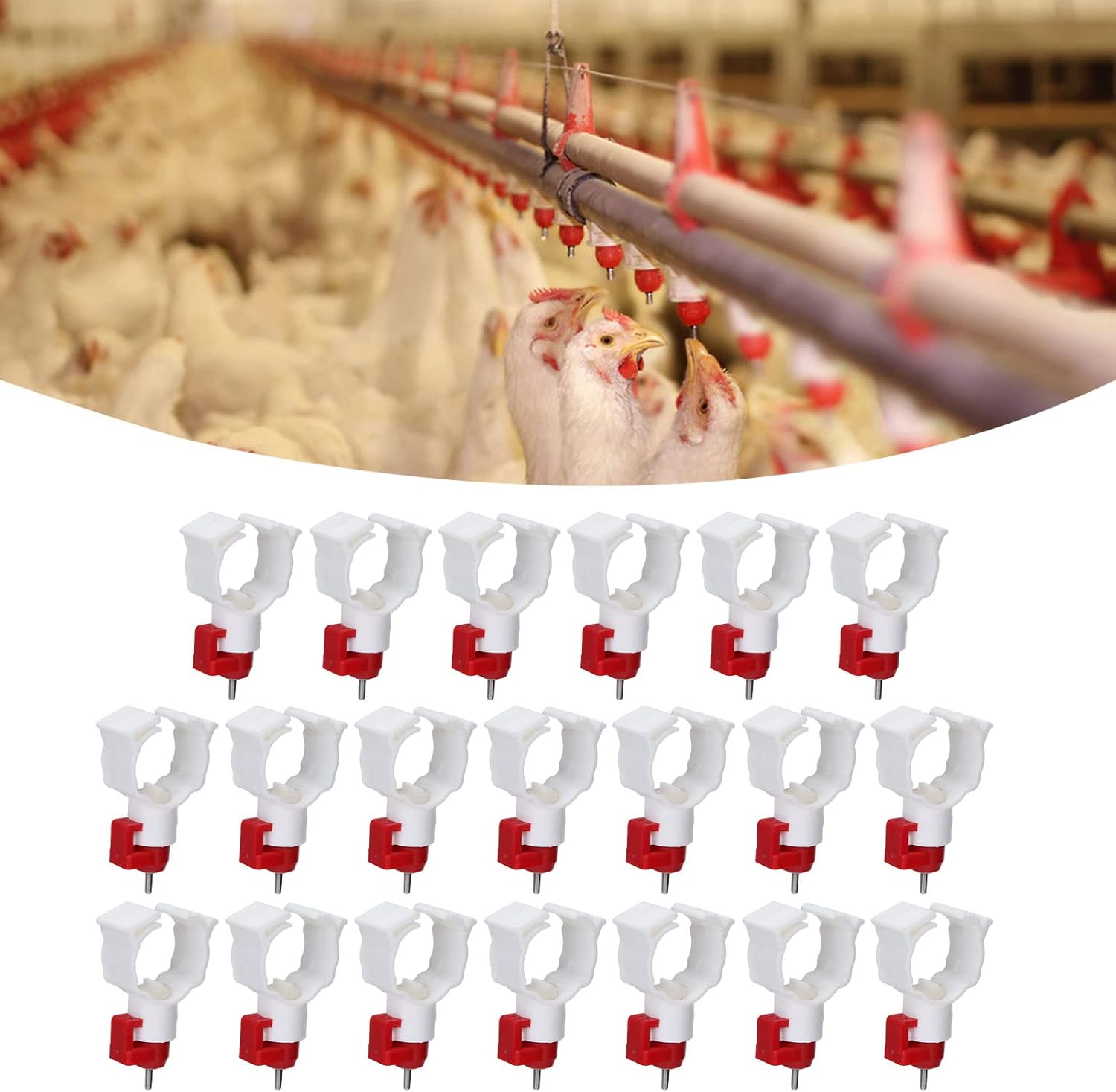 High Quality 20PCS Chicken Nip - Chicken Nipple Drinker 리뷰 및 가격