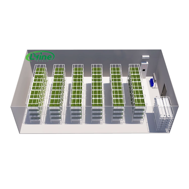Agricultural Greenhouses Lettu - Hydroponic Farming Agriculture 리뷰 및 가격