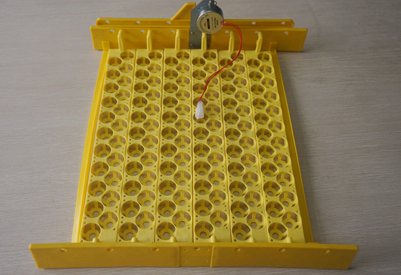 Poultry Spare Parts 132 Bird Q - Quail Egg Incubator 리뷰 및 가격