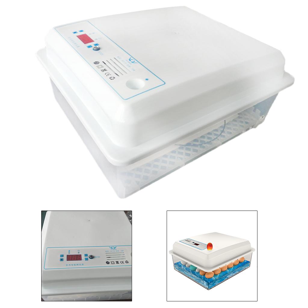 Automatic Egg Incubator Fully  - Quail Egg Incubator 리뷰 및 가격