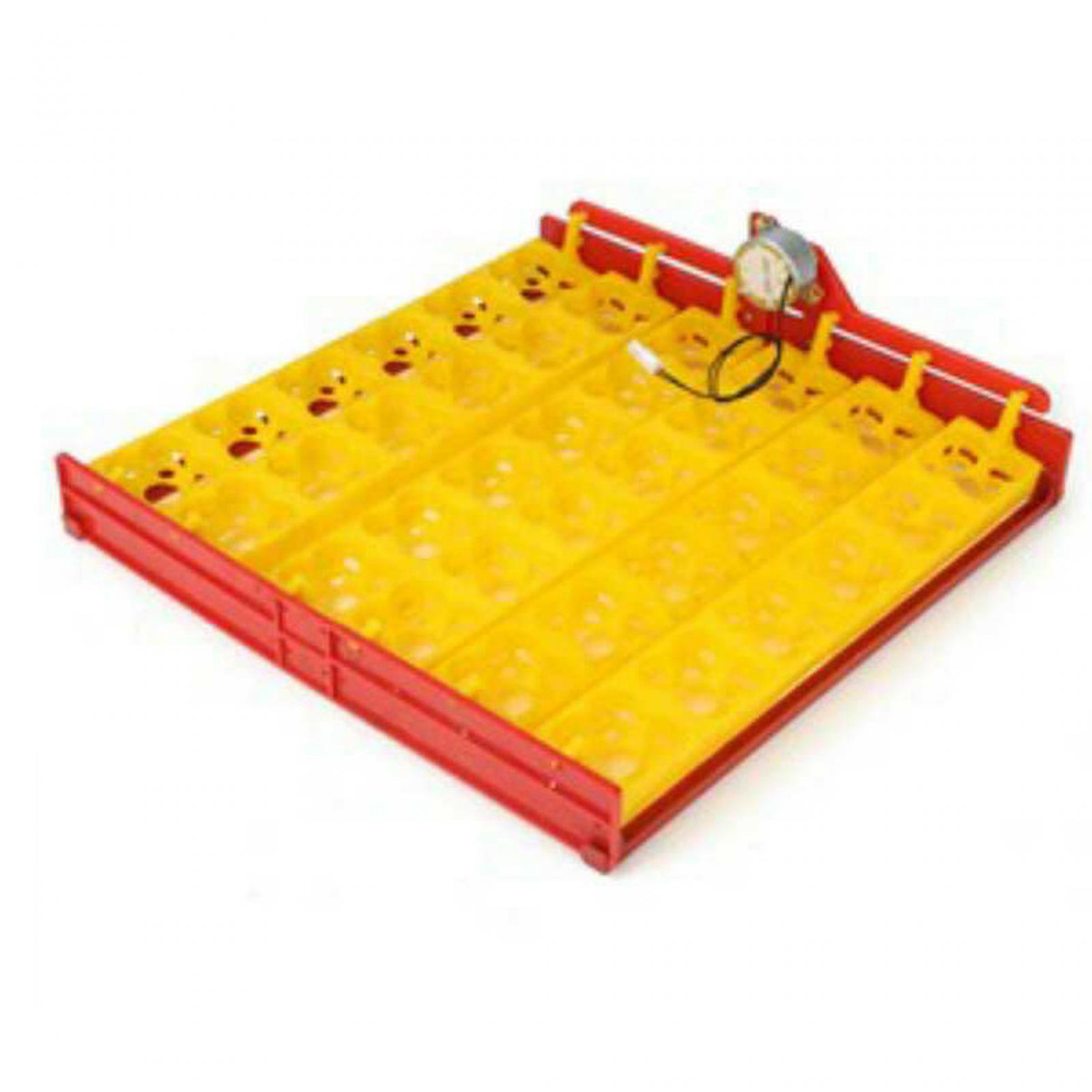 Egg Incubator Tray Plastic Aut - Quail Egg Incubator 리뷰 및 가격