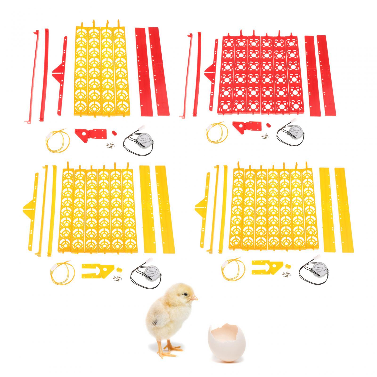 Egg Incubator Tray Plastic Aut - Quail Egg Incubator 리뷰 및 가격